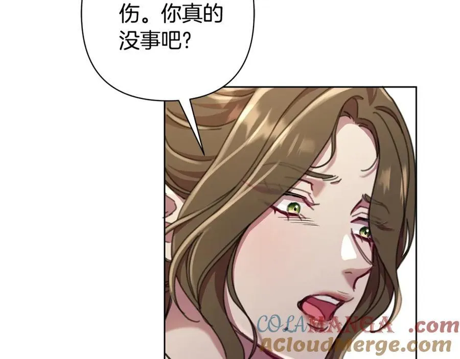 完结篇 永远幸福 第121页