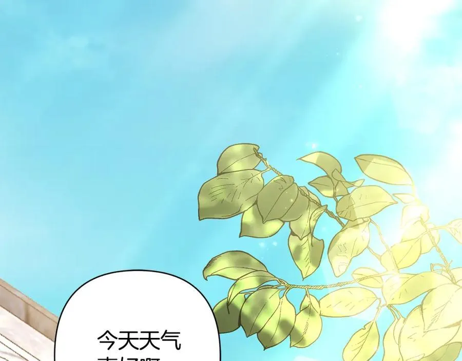 完结篇 永远幸福 第163页