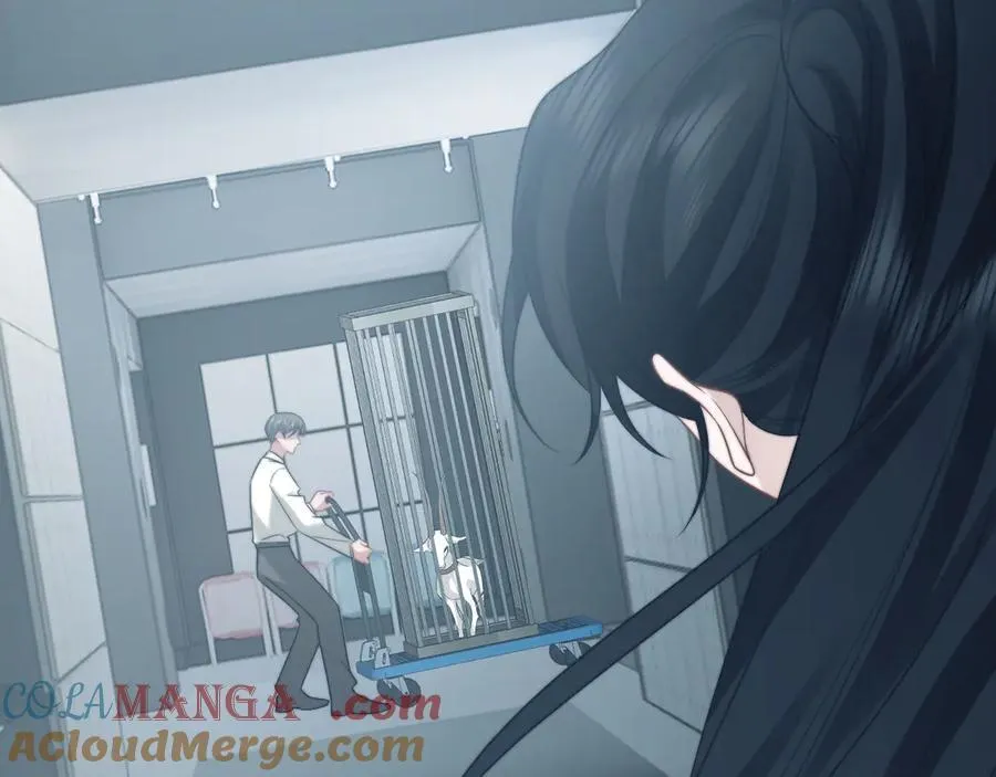 第117话 狩猎开始 第17页