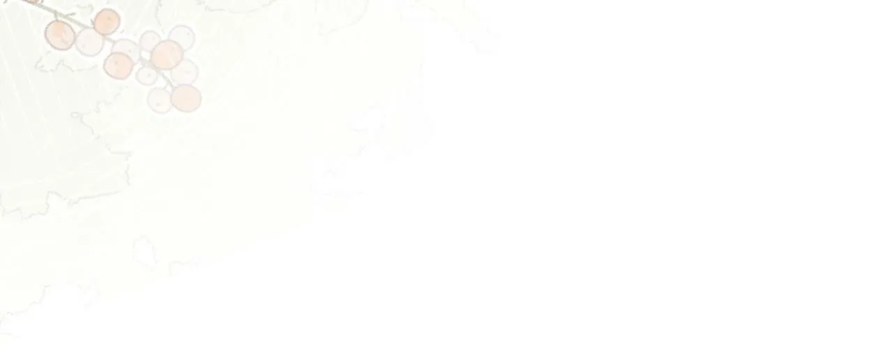 第51话 保护嫂子 第25页