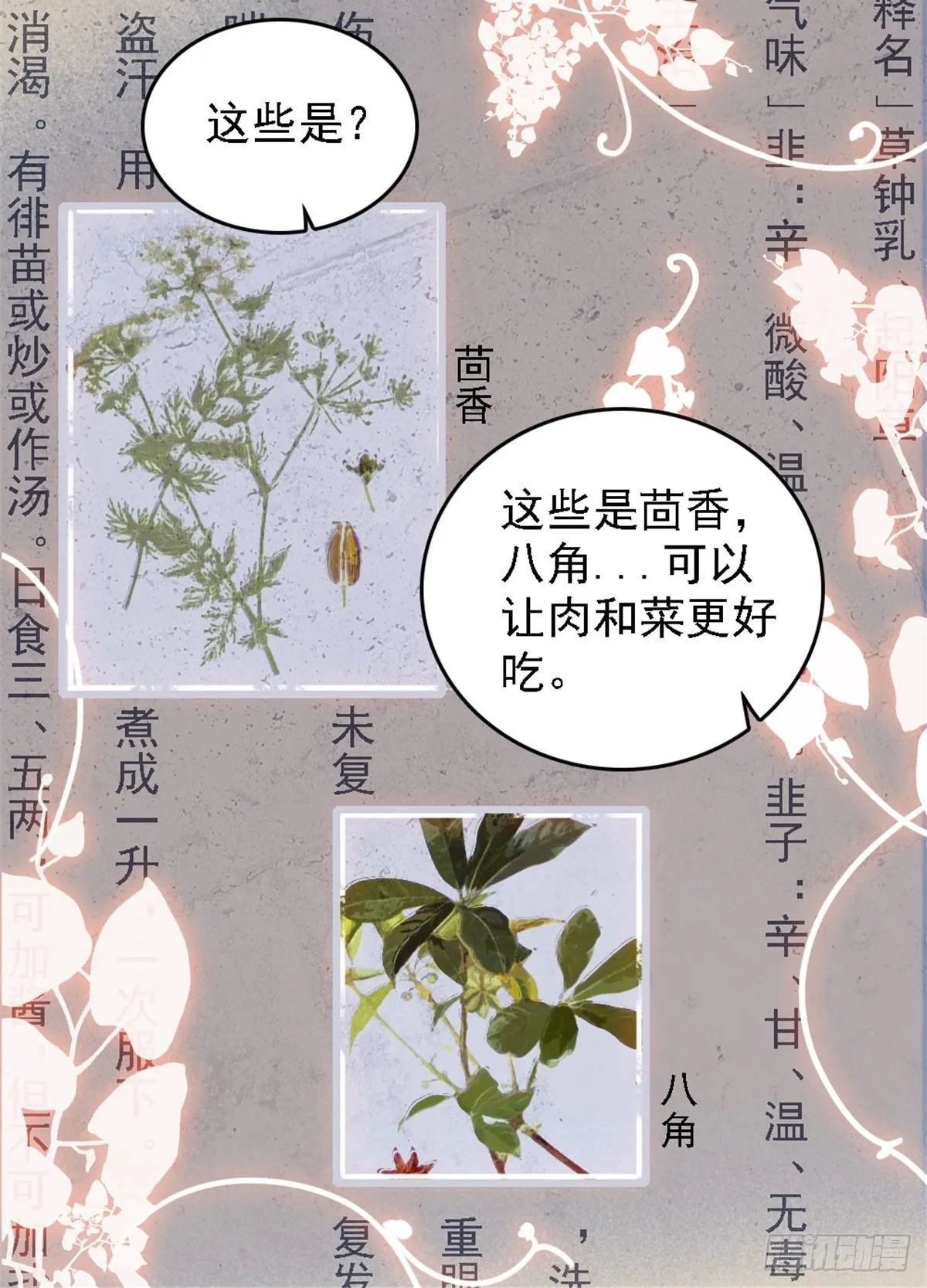 23 木香 第16页