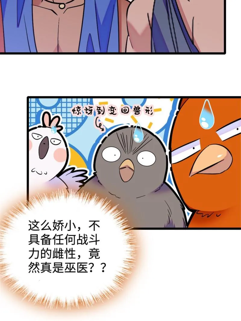 85 羽族长老 第14页
