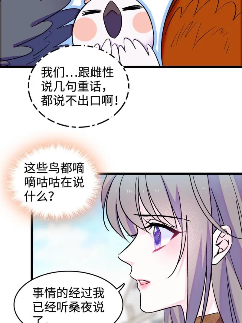 85 羽族长老 第17页