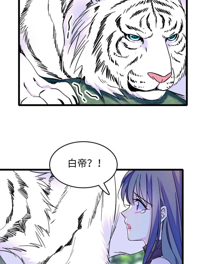 86 白帝VS血翎 第48页
