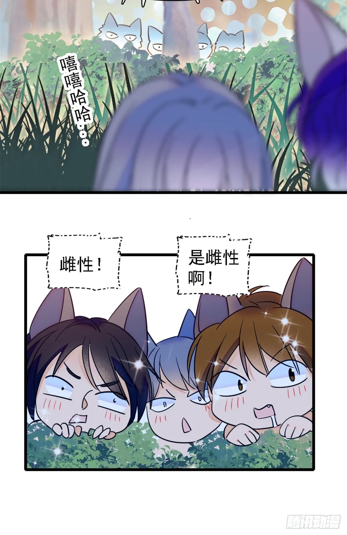 24 有趣的反应 第15页