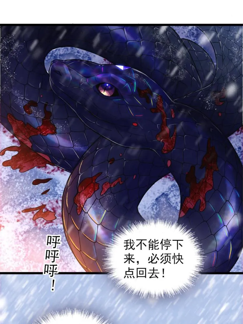 50 等着我 第59页