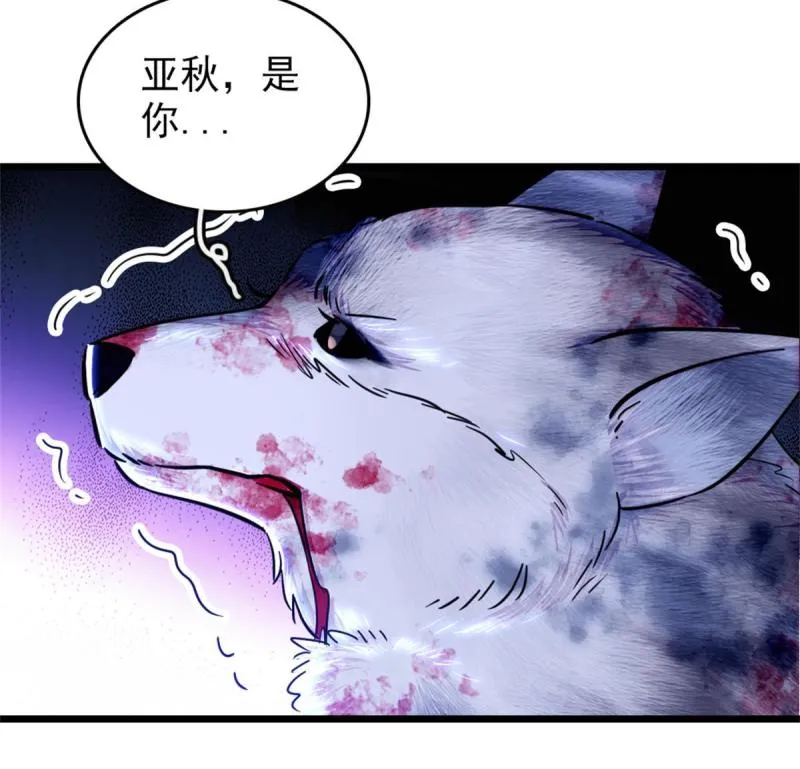 53 岩石狼族没有懦夫 第40页