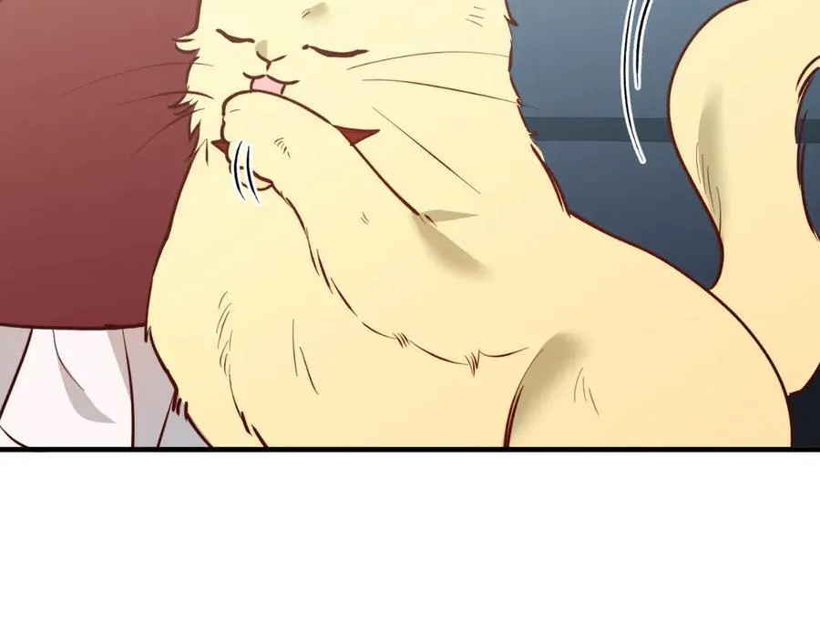 第91话 烟花 第166页