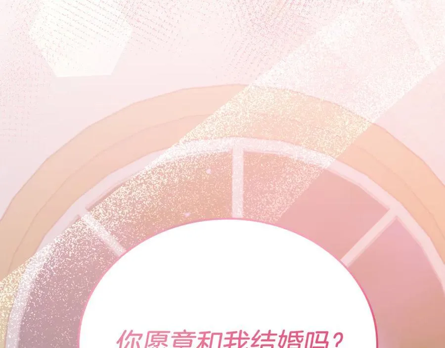 完结篇 我们结婚吧 第231页