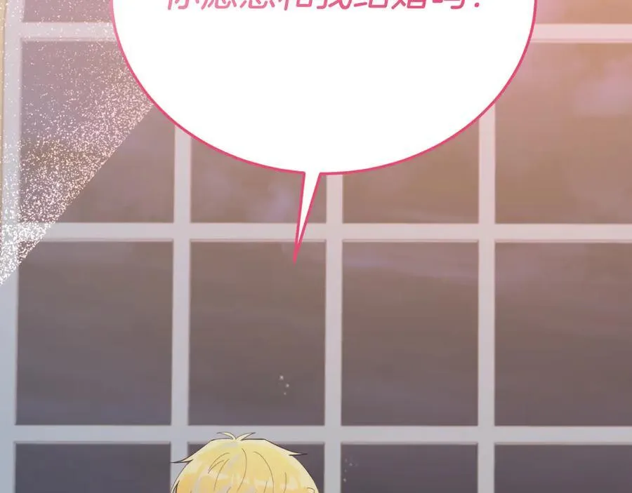 完结篇 我们结婚吧 第232页