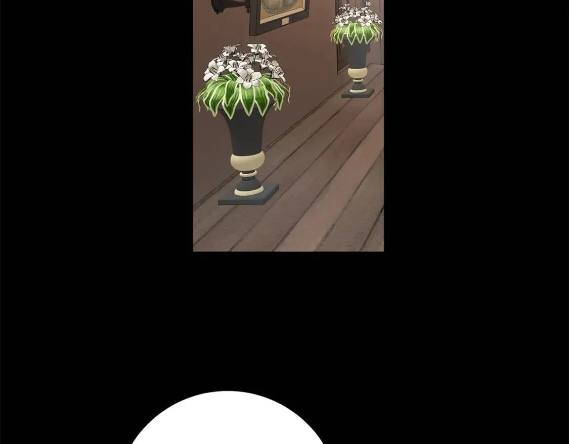 第57话 创造和平 第2页