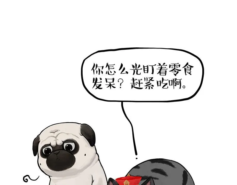 第344话 人生止痛剂 第1页