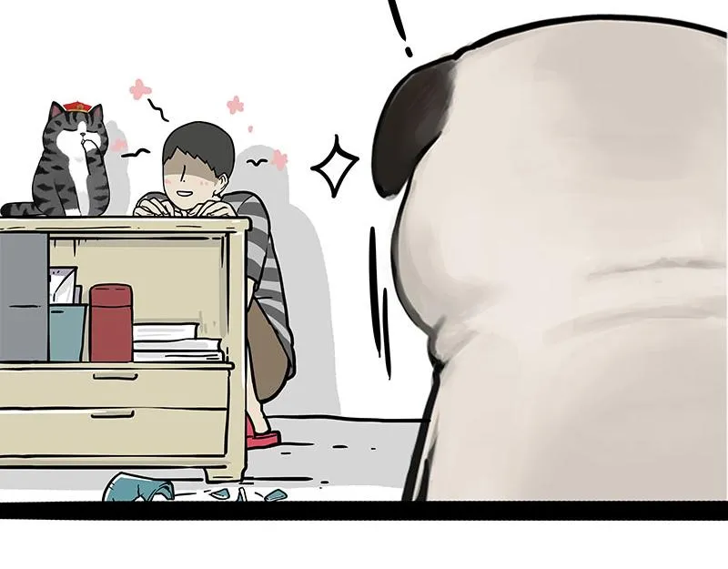 第344话 人生止痛剂 第17页