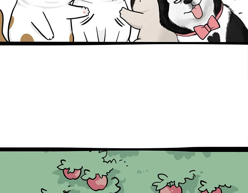 第344话 人生止痛剂 第41页