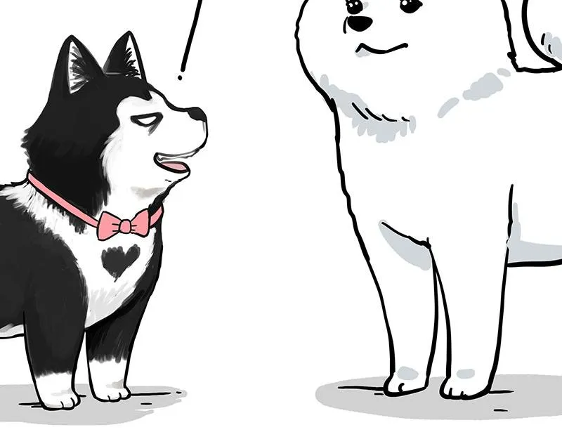 第349话 养只猫吧 第2页