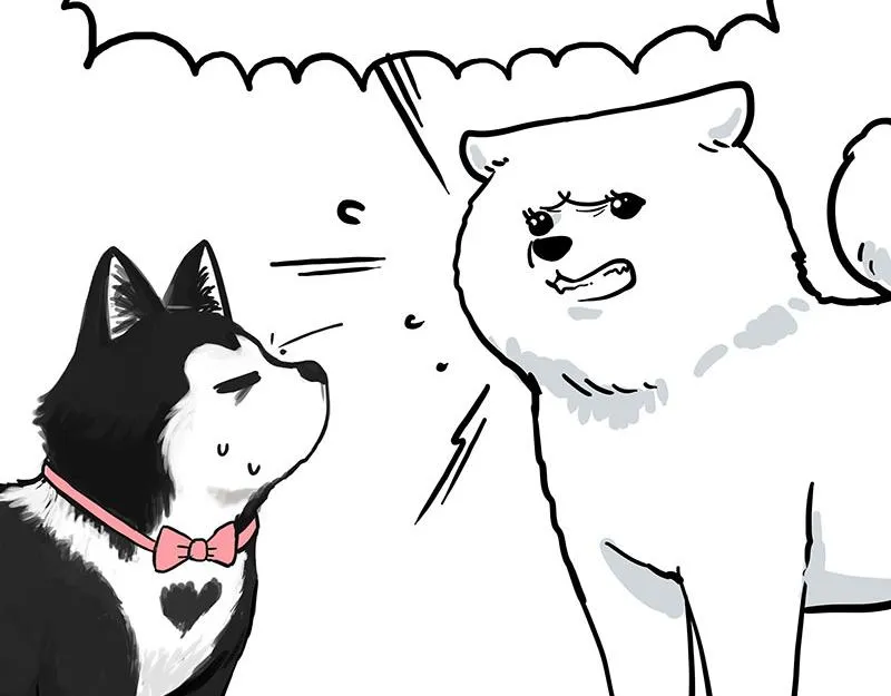 第349话 养只猫吧 第4页