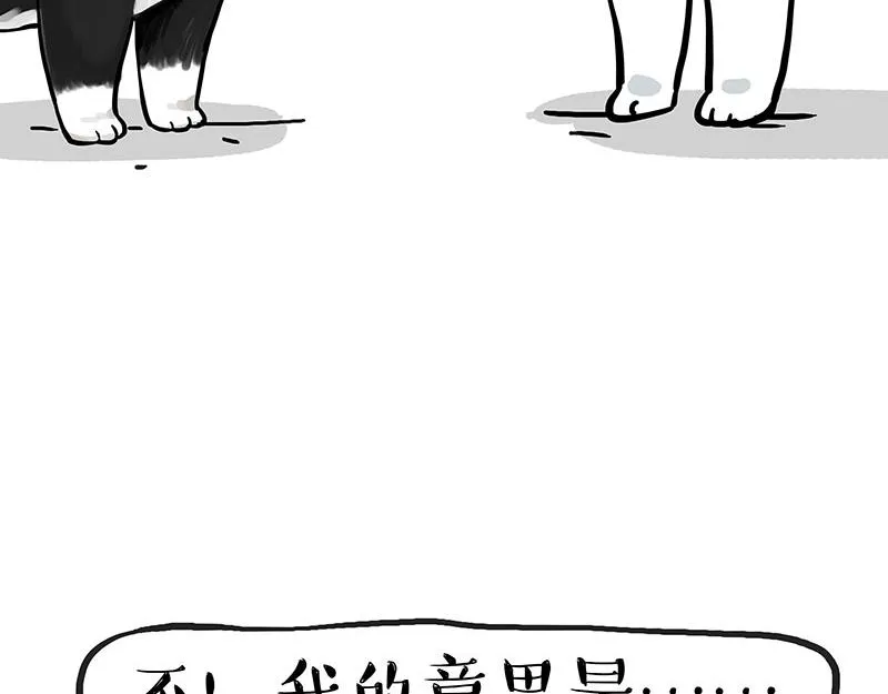 第349话 养只猫吧 第5页