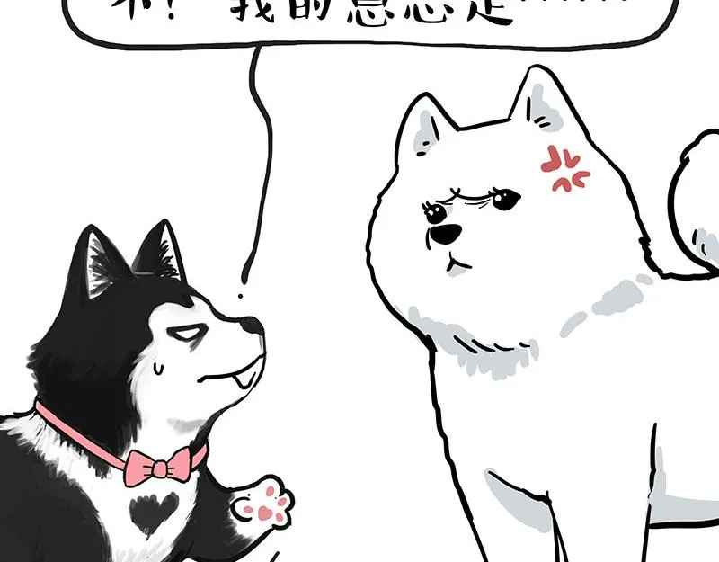 第349话 养只猫吧 第6页