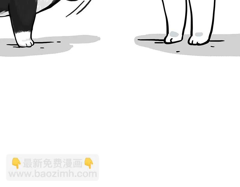 第349话 养只猫吧 第7页