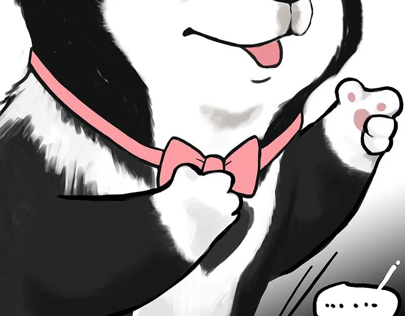 第349话 养只猫吧 第10页