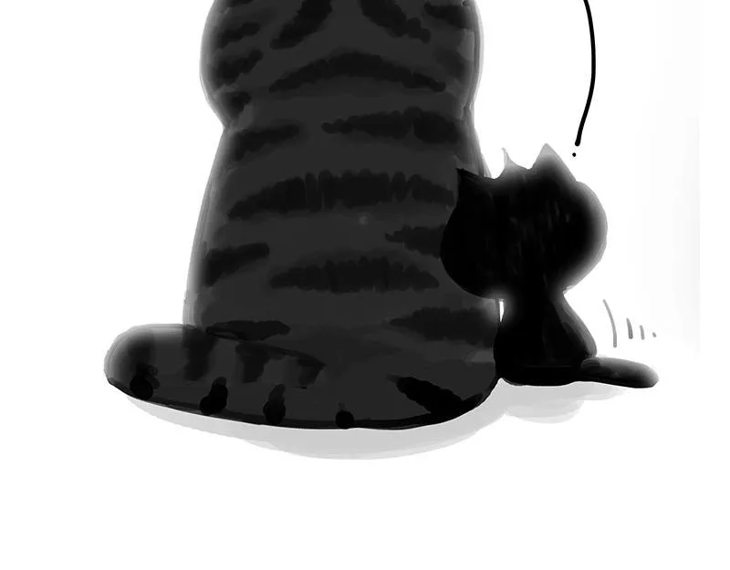 第349话 养只猫吧 第13页