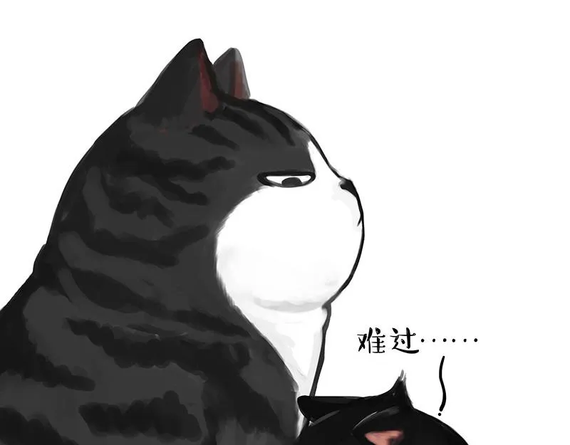 第349话 养只猫吧 第17页