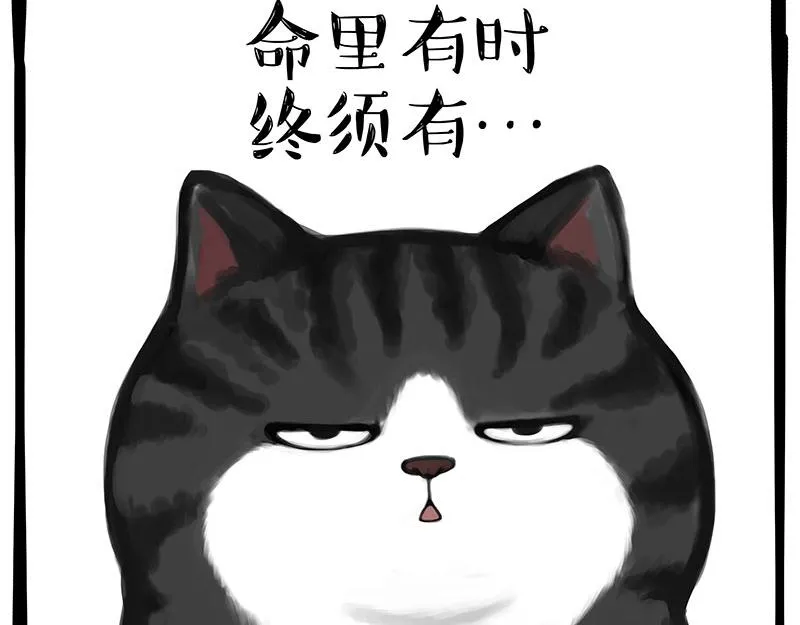 第349话 养只猫吧 第19页