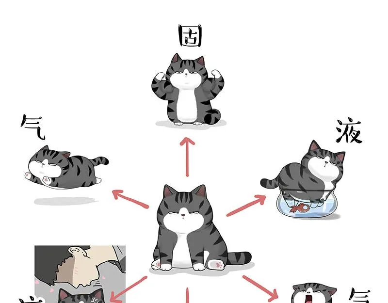 第349话 养只猫吧 第29页