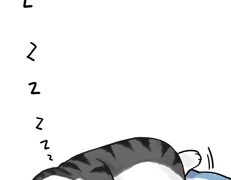 第349话 养只猫吧 第36页