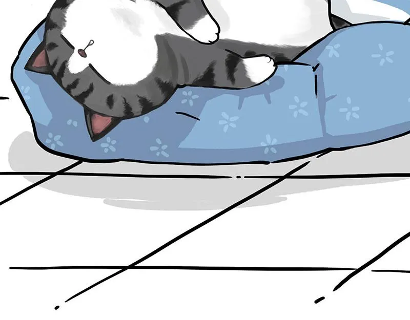 第349话 养只猫吧 第37页