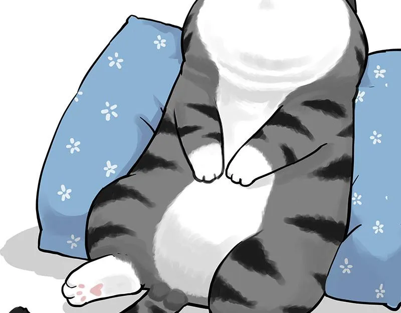 第349话 养只猫吧 第45页