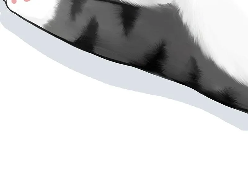 第349话 养只猫吧 第55页