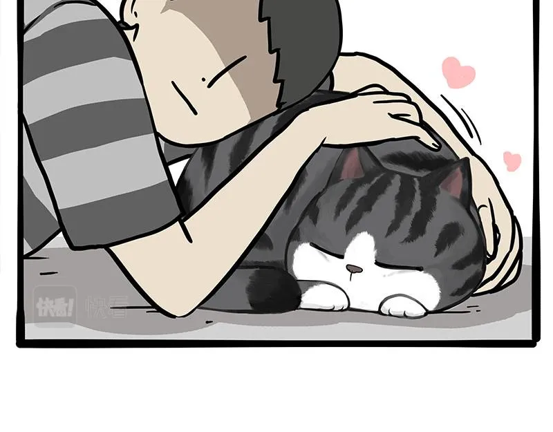 第349话 养只猫吧 第59页