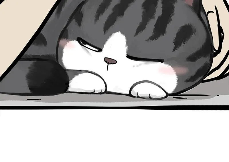 第349话 养只猫吧 第61页