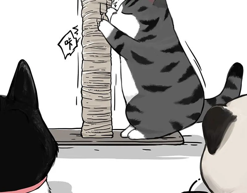 第356话 “吾没有错” 第12页