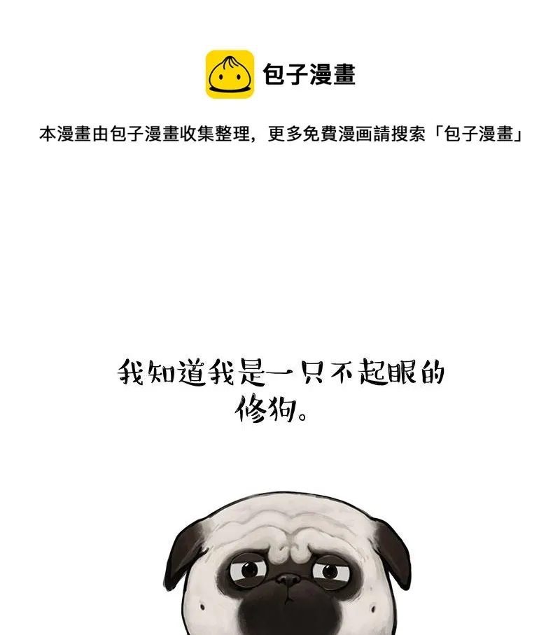 第357话 巴扎黑的智慧 第1页