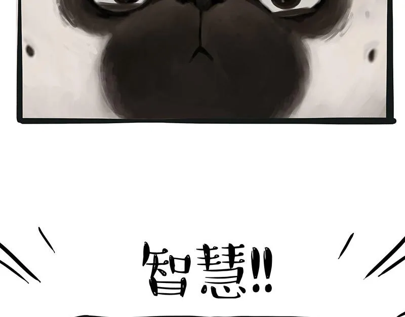 第357话 巴扎黑的智慧 第14页