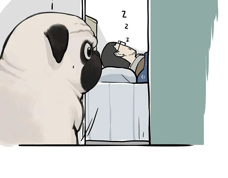 第357话 巴扎黑的智慧 第19页