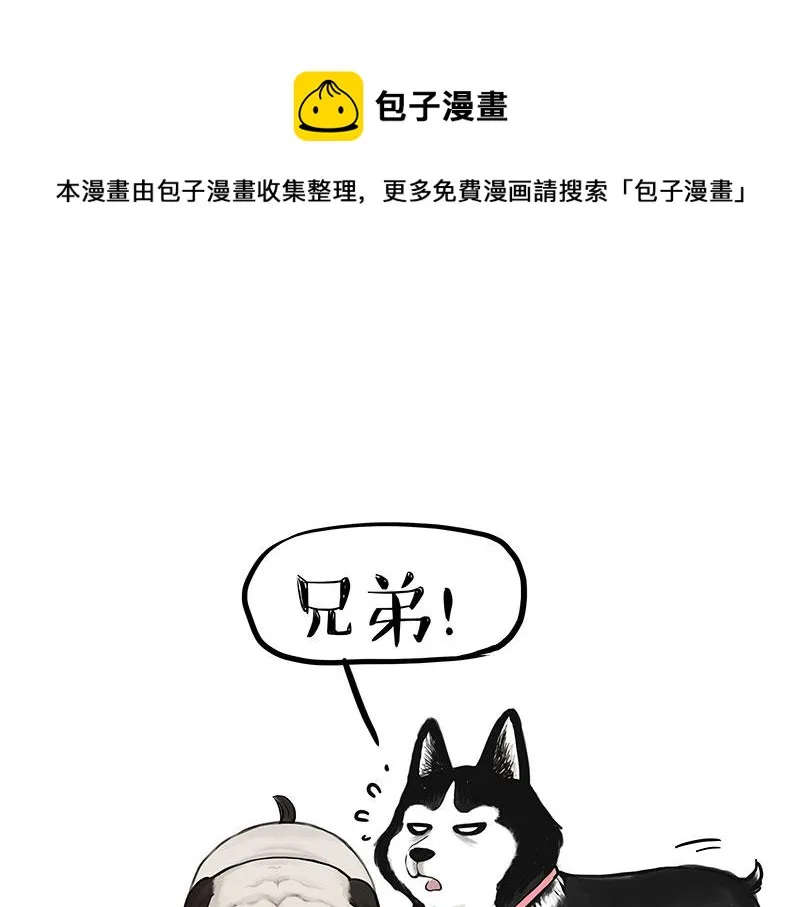 第358话 都是错觉 第1页