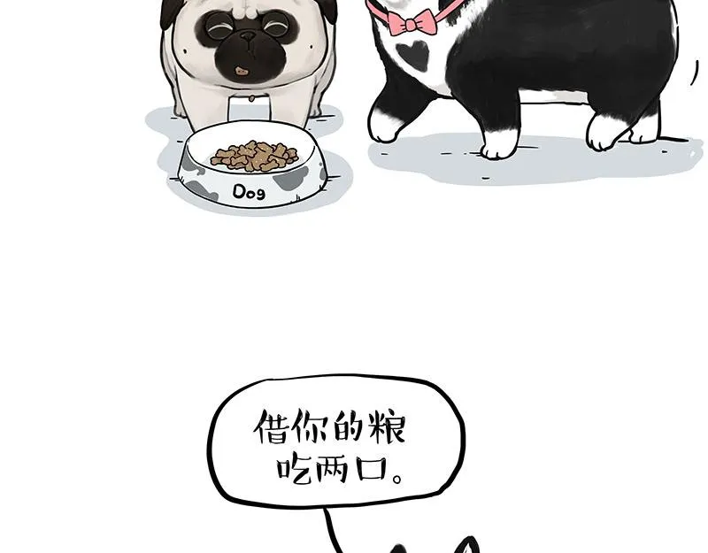 第358话 都是错觉 第2页