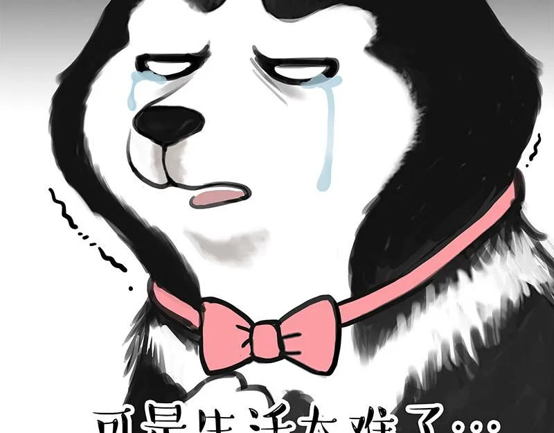 第358话 都是错觉 第5页