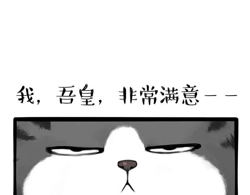 第359话 猫洛芬 第5页