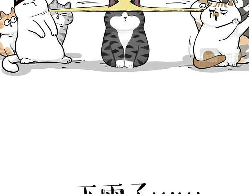 第359话 猫洛芬 第9页