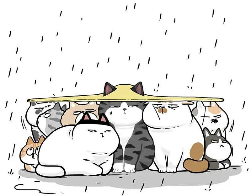 第359话 猫洛芬 第12页