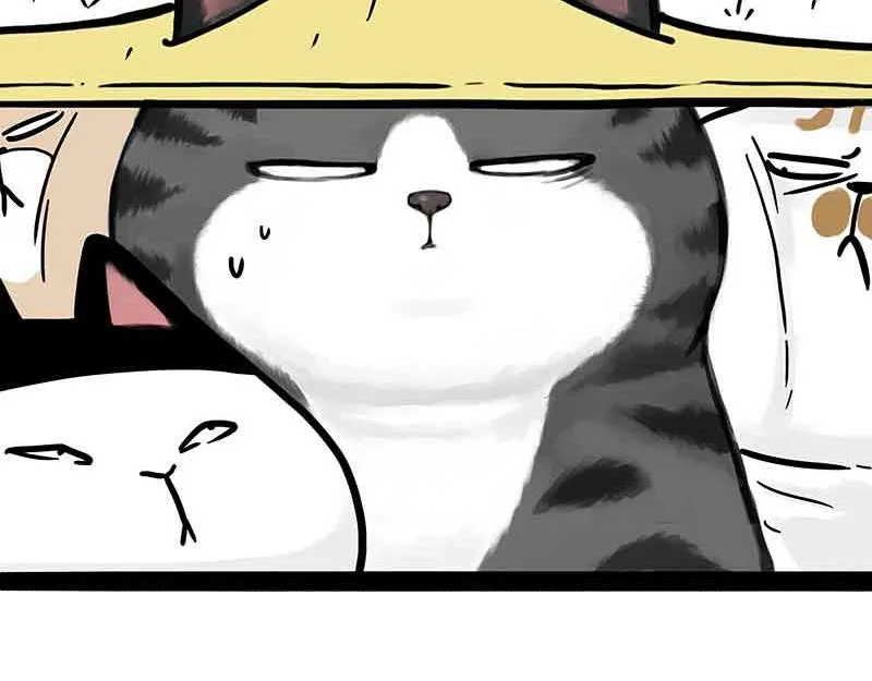 第359话 猫洛芬 第14页