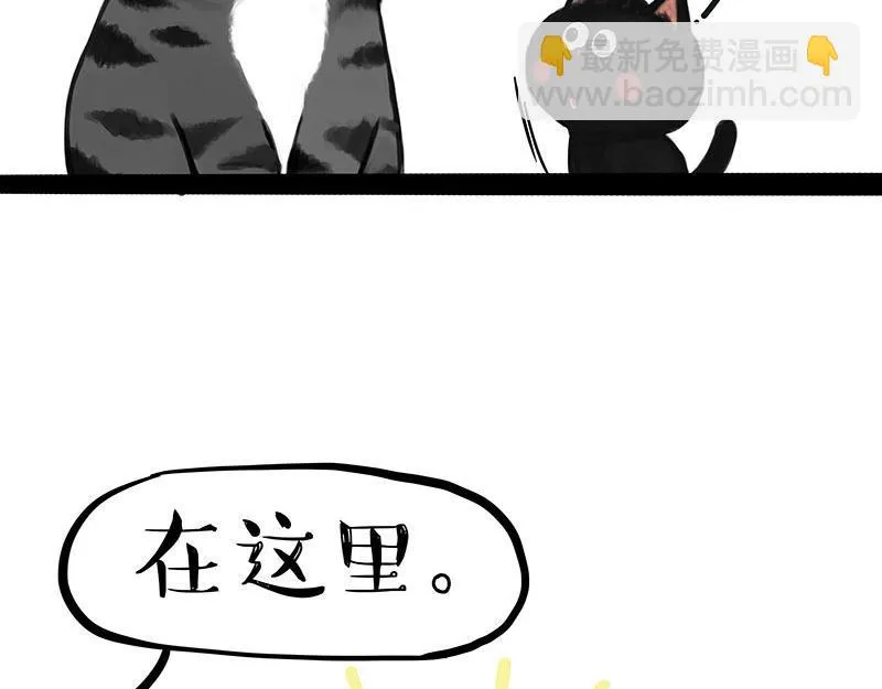 第359话 猫洛芬 第31页