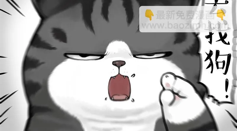 第362话 去找狗！ 第12页