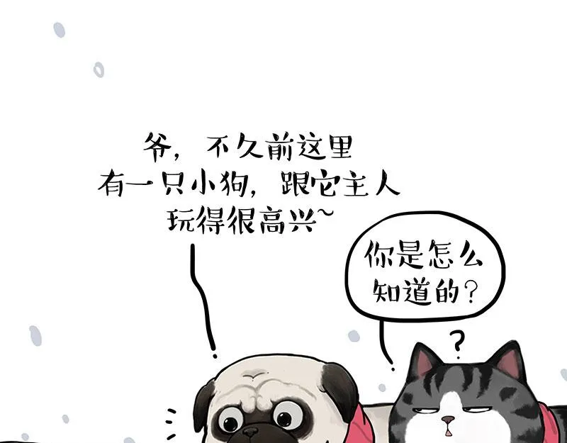 第362话 去找狗！ 第19页