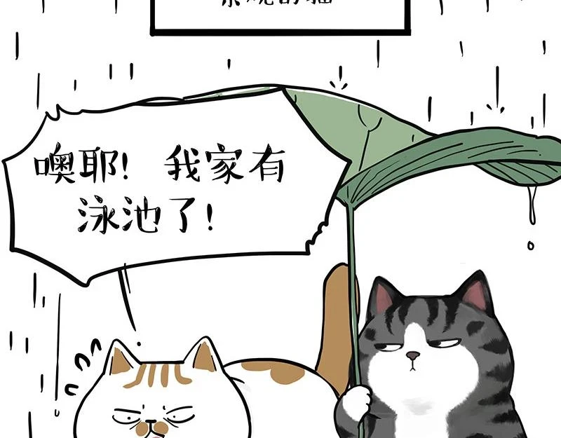 第364话 万一呢？ 第40页