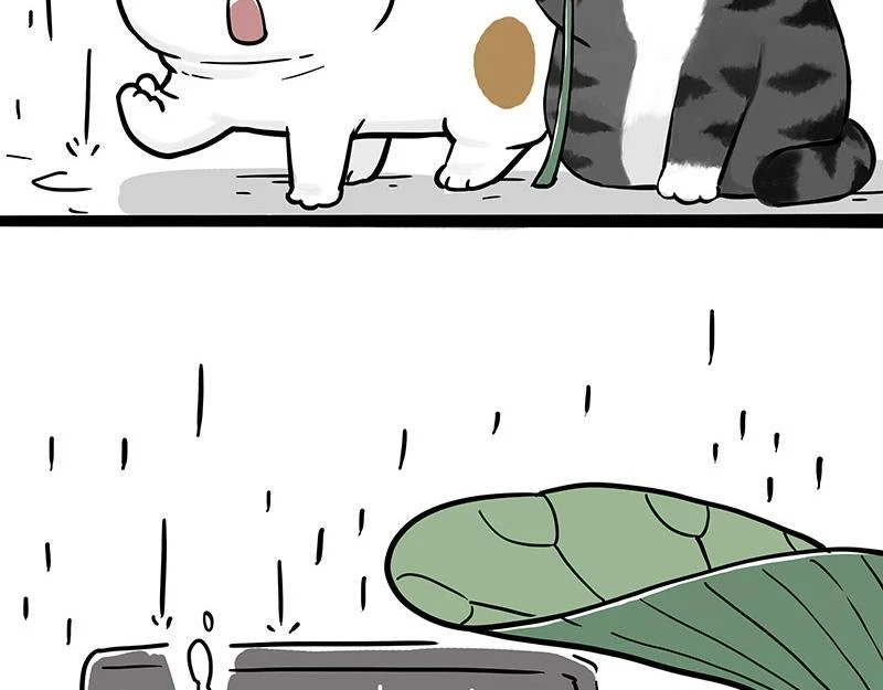 第364话 万一呢？ 第41页